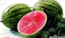 网红吃的水果瓜是什么,揭秘流行美食背后的神秘果实
